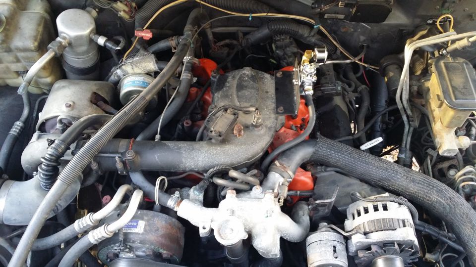 Engine shot with the regulator and minus the factory filter manager. Not quite done at this point. Still need to pull the injection pump feed fitting and install a .375 fitting; not to mention the pump still needs to be wired.