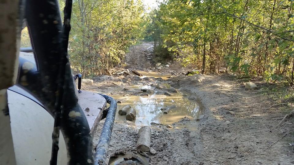 Muddy trail with puddles and logs, seen from inside a vehicle