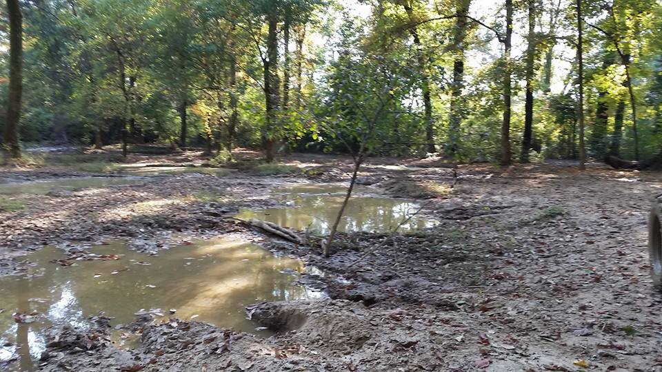 Muddy tire in a wooded area with puddles