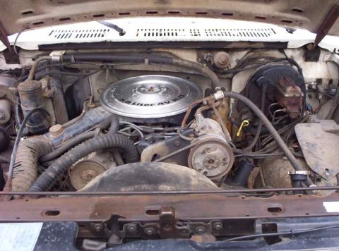 1985 Ford F-250 - Engine