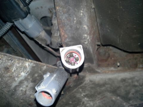 1991 Ford F-250 - This image shows a close-up view of a vehicle's electrical connector and associated wiring, likely part of the undercarriage.
