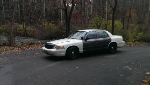 2004 Ford Crown Victoria photo