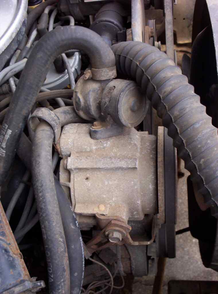 Engine accessory area showing power steering pump, ribbed hose, drive belt and cooling fan blade