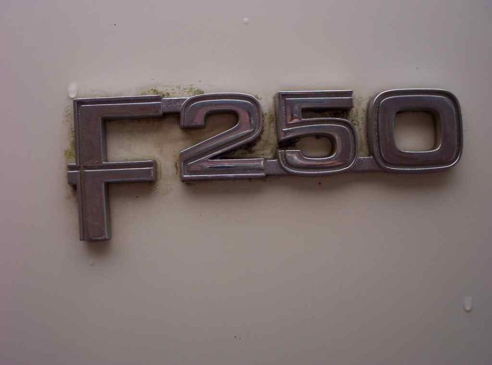 Chrome F250 emblem on white panel with green grime around it
