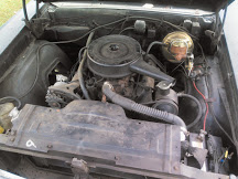 1966 Oldsmobile Cutlass photo