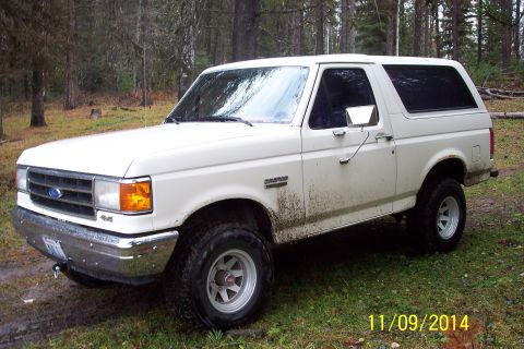 1990 Ford Bronco - A white Ford Bronco is parked on a grassy area surrounded by trees, with mud splattered on its lower body.