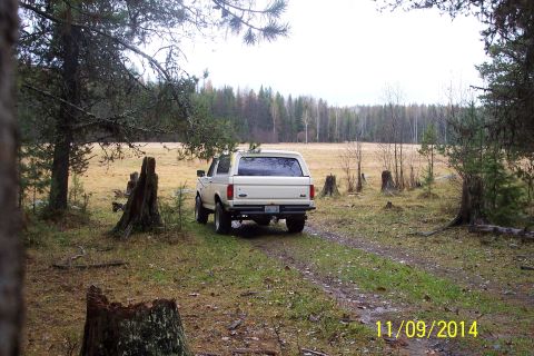 1990 Ford Bronco - A 1990 Ford Bronco is parked on a dirt path in a clearing, with a forest in the background.