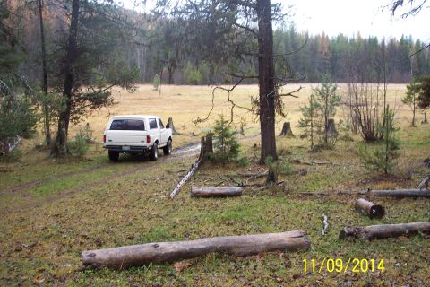 1990 Ford Bronco - A white 1990 Ford Bronco with a camper shell is parked on a dirt path in a wooded, grassy area.