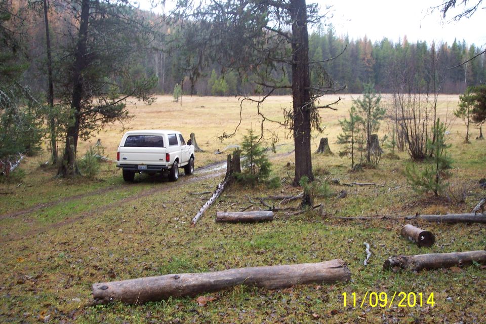 White 1990 Ford Bronco rear view in a wooded area