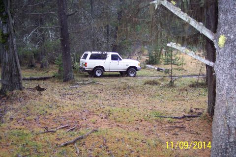 1990 Ford Bronco - White 1990 Ford Bronco parked in a wooded area.