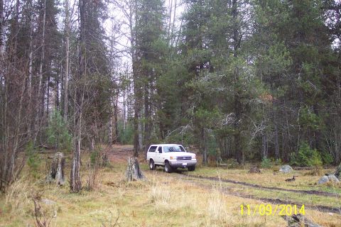 1990 Ford Bronco - A white SUV navigates a muddy track through a dense forest with tall trees and dry grass.
