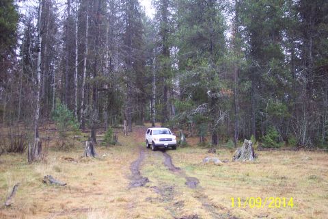 1990 Ford Bronco - A white SUV navigates a muddy track through a dense forest with tall trees.