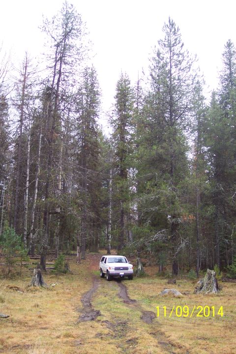 1990 Ford Bronco - A white 1990 Ford Bronco navigates a muddy track through a wooded area.