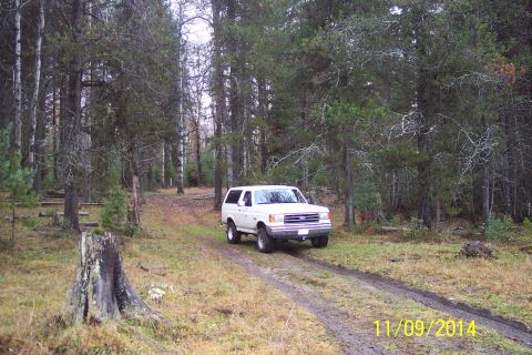 1990 Ford Bronco - White 1990 Ford Bronco drives through a wooded area on a dirt track.