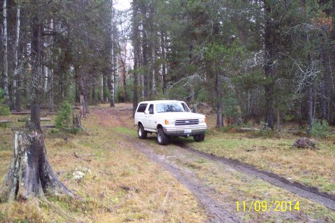 1990 Ford Bronco - A white Ford Bronco navigates a muddy track in a wooded area.
