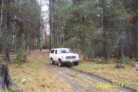 1990 Ford Bronco - A white Ford Bronco drives on a muddy track through a wooded area.