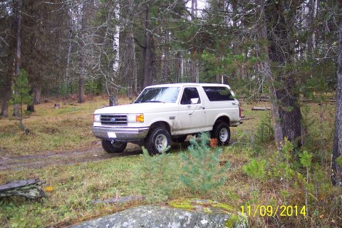 1990 Ford Bronco - A white 1990 Ford Bronco is parked on a dirt path surrounded by trees and foliage.