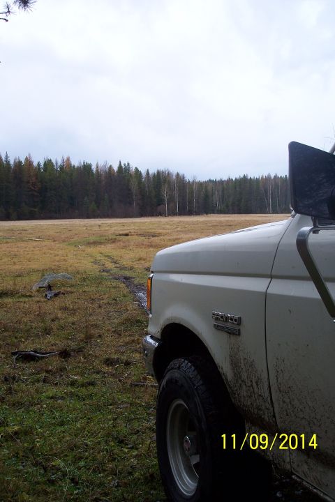 1990 Ford Bronco - A white 1990 Ford Bronco is parked in a muddy, grassy field with trees in the background.