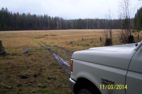 1990 Ford Bronco - A white Ford Bronco is parked on a muddy track in a field with a forest in the distance.