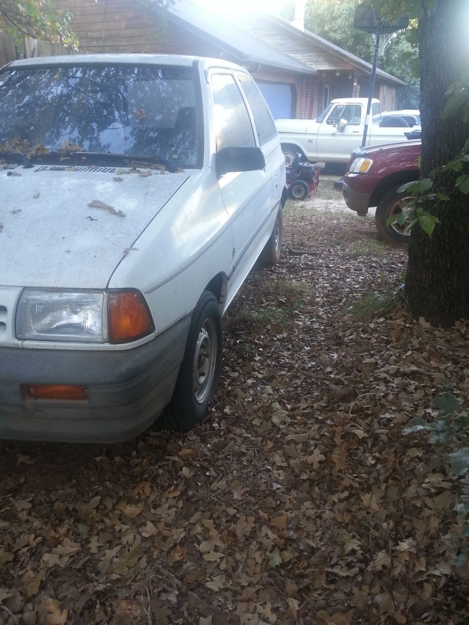 White 1991 Ford Festiva parked on a leaf-covered ground, front-left view