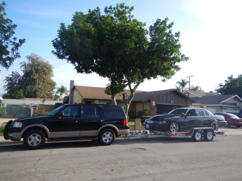2003 Ford Crown Victoria - Black Ford Expedition tows a black sedan on a U-Haul trailer, parked under a large shade tree on a residential street.