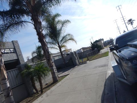 2003 Ford Crown Victoria - black pickup truck parked along a sunny residential street lined with palm trees beside a block wall and gate.