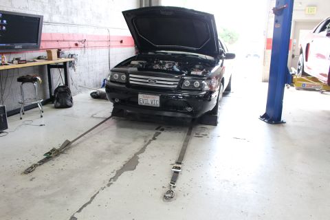 2003 Ford Crown Victoria - black Ford vehicle with EVIL VIC plate and open hood is strapped down on a dyno inside a tuning shop with a monitor on the wall.