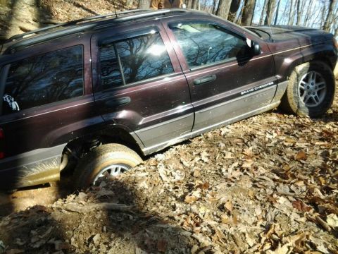1995 Ford Bronco - A Jeep Grand Cherokee is stuck in the mud on a wooded trail, with one wheel deeply embedded.