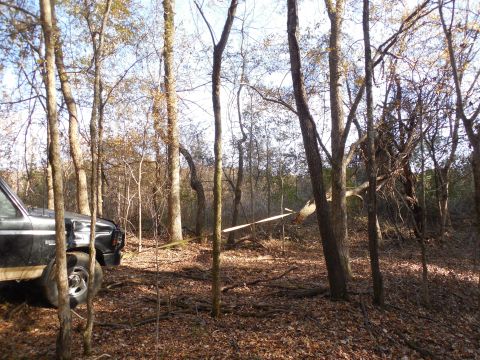 1983 Ford Bronco - I moved the strap to the front and pulled down the trail, but it still didn't want to let go & fall.