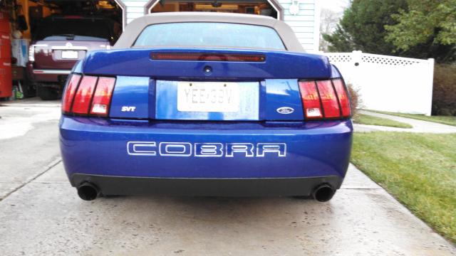 Blue 2003 Ford Mustang Cobra convertible rear view, showing license plate and COBRA lettering.