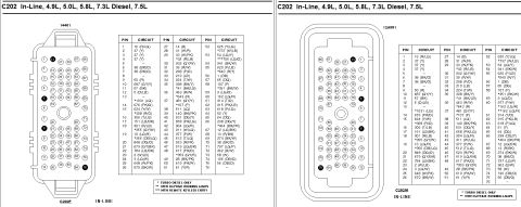1996 Ford Bronco - Two-page wiring reference for the C202 in-line connector covering 4.9L, 5.0L, 5.8L, 7.3L diesel and 7.5L engines, showing the C202F female…