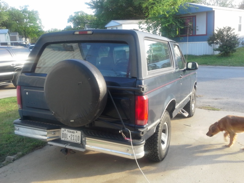 Dark blue Ford Bronco parked outside, spare tire on the rear door. A dog walks nearby