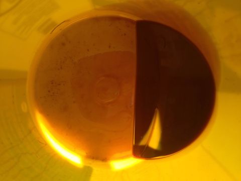 1979 Ford Bronco - The oil on the dipstick is dark, indicating it may need to be changed.