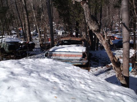 1974 Dodge Challenger - A 1974 Dodge Challenger sits in a snowy junkyard, its rear end visible through the trees.