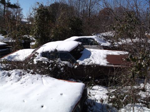1974 Dodge Challenger - A pair of classic cars, including a 1974 Dodge Challenger, sit abandoned and covered in snow.