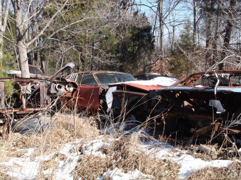 1974 Dodge Challenger - Multiple rusted-out vehicles sit abandoned in a wooded area, covered in dry grass and patches of snow.
