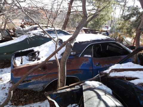 1974 Dodge Challenger - A blue 1974 Dodge Challenger sits in a snowy junkyard, partially obscured by trees and other vehicles.