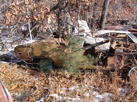 1974 Dodge Challenger - This vehicle is in a state of disrepair, surrounded by trees and debris in an outdoor junkyard setting.