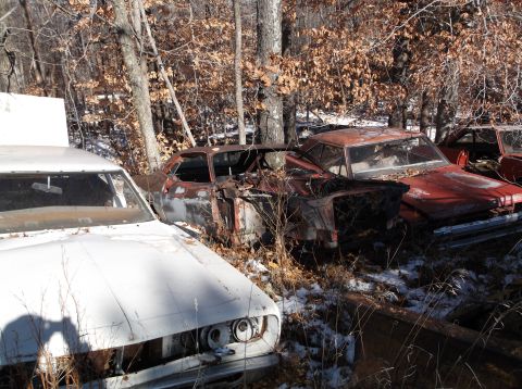 1974 Dodge Challenger - Several abandoned vehicles sit in a wooded area, covered in rust and debris.