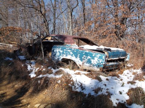 1974 Dodge Challenger - This 1974 Dodge Challenger sits abandoned in a wooded area, showing significant rust and decay.