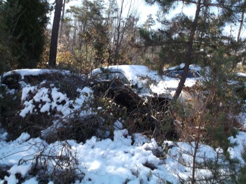1974 Dodge Challenger - Two vintage cars are overgrown with vegetation and covered in snow in a forest setting.