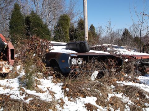 1974 Dodge Challenger - Overgrown 1974 Dodge Challenger sits in a snowy junkyard, its front end partially obscured by brush.