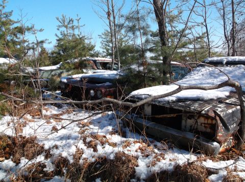 1974 Dodge Challenger - Abandoned vehicles are covered in snow and branches in a wooded junkyard setting.