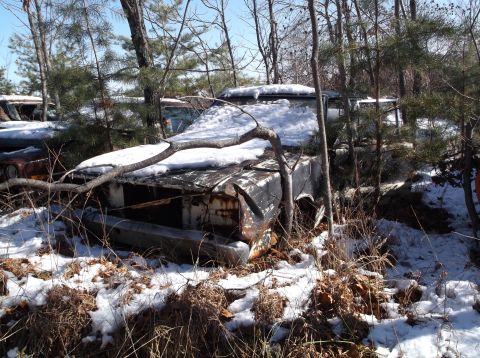 1974 Dodge Challenger - Multiple vehicles sit abandoned in a snowy junkyard, overgrown with trees and brush.