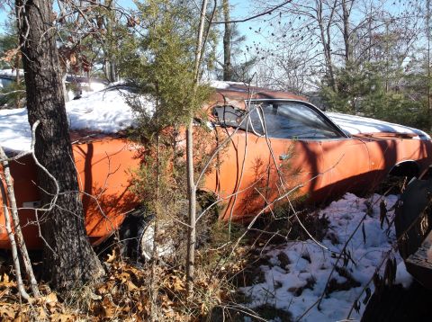 1974 Dodge Challenger - Abandoned 1974 Dodge Challenger sits in a snowy wooded area, showing significant rust and overgrowth.