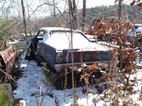 1974 Dodge Challenger - An old car sits abandoned in the snow, partially obscured by trees and brush.