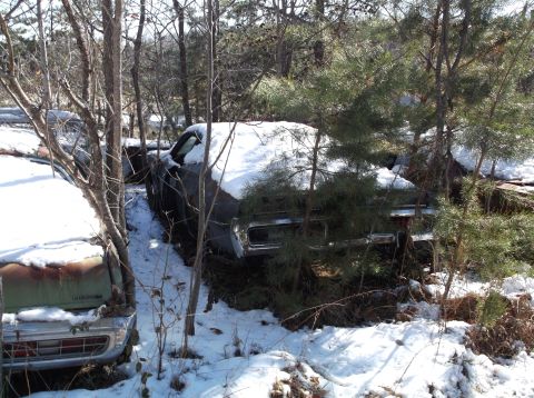1974 Dodge Challenger - Two vintage Dodge vehicles are parked in a wooded area with snow on the ground and on the cars. The front of a dark-colored car is visible,…