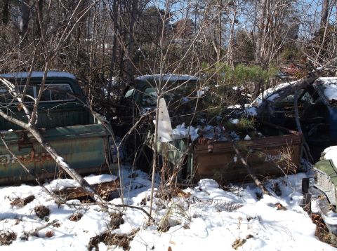 1974 Dodge Challenger - Two rusty, old pickup trucks are partially buried in snow and overgrown with branches in a wooded area. The truck on the left is green and…