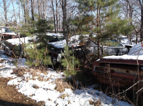 1974 Dodge Challenger - Several old cars are parked in a wooded area with snow on the ground. One car in the foreground is orange and appears to be a rear-end view…