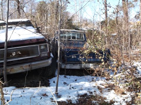 1974 Dodge Challenger - Two old, rusty pickup trucks are parked in a wooded area covered in snow. The truck on the left is maroon and the truck on the right is blu…
